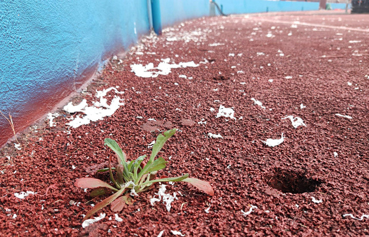 Công nhân dọn rác ở sân Việt Trì sau trận U23 Việt Nam - U23 Philippines - 4