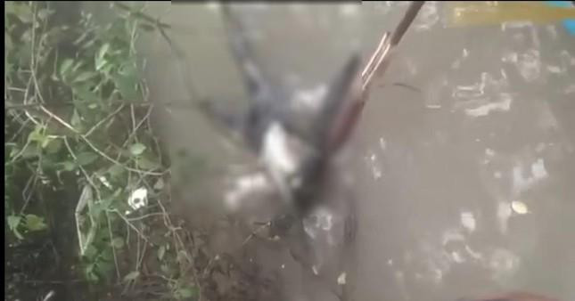 Thi thể không đầu nổi trên kênh ở Cà Mau - 1