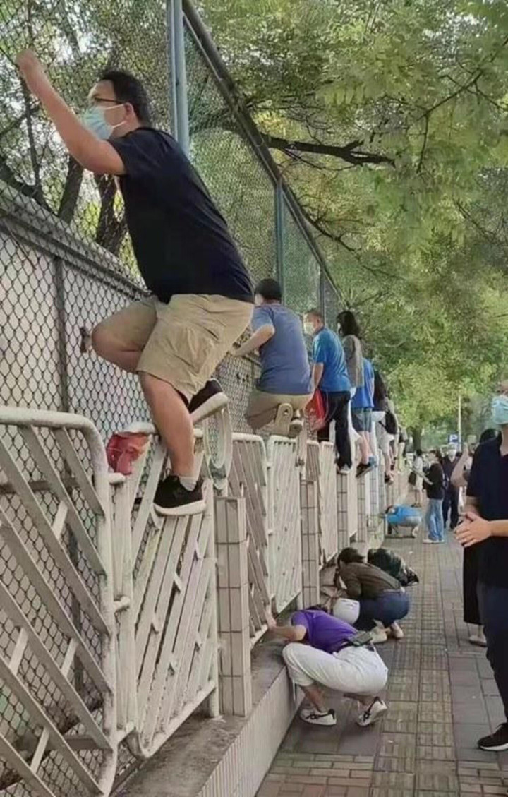 Ngả mũ với tài 'rình mò' điêu luyện hơn paparazzi của bố mẹ có con nhỏ đi học - 1