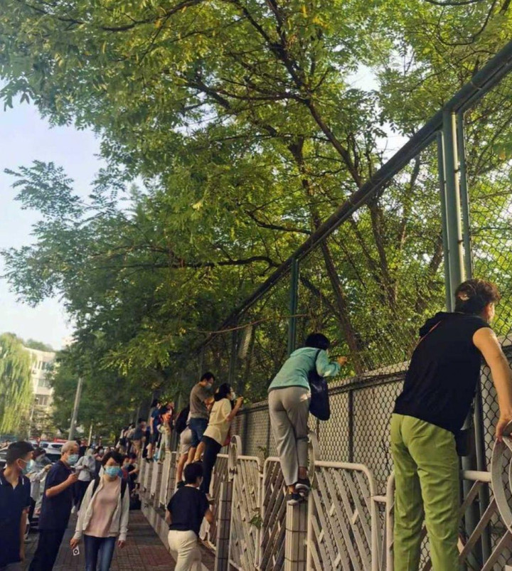 Ngả mũ với tài 'rình mò' điêu luyện hơn paparazzi của bố mẹ có con nhỏ đi học - 5