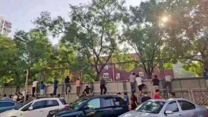 Ngả mũ với tài 'rình mò' điêu luyện hơn paparazzi của bố mẹ có con nhỏ đi học - 8