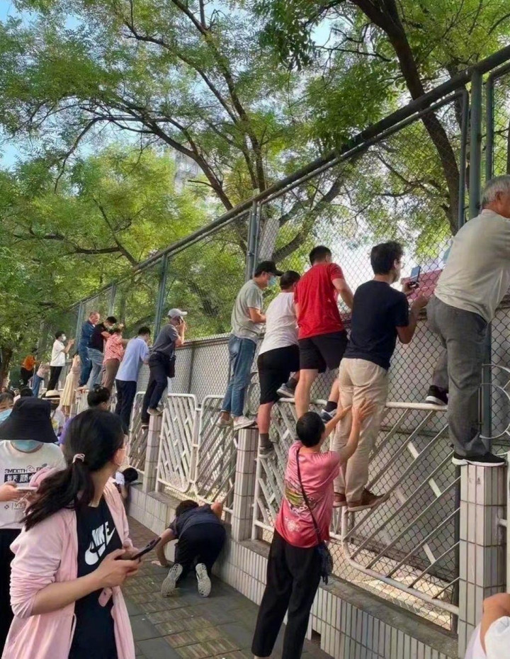 Ngả mũ với tài 'rình mò' điêu luyện hơn paparazzi của bố mẹ có con nhỏ đi học - 7