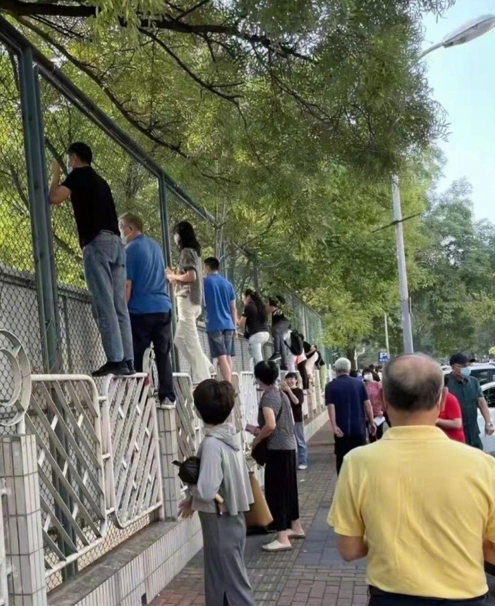 Ngả mũ với tài 'rình mò' điêu luyện hơn paparazzi của bố mẹ có con nhỏ đi học - 3