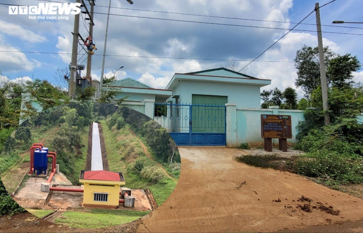 Rừng trên địa bàn tỉnh bị tàn phá, lãnh đạo sở vẫn hoàn thành xuất sắc nhiệm vụ - 1