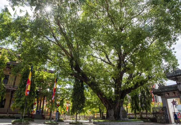 Ngắm 2 ngôi chùa cổ nằm trong hành trình rước Phật tại Huế - 10