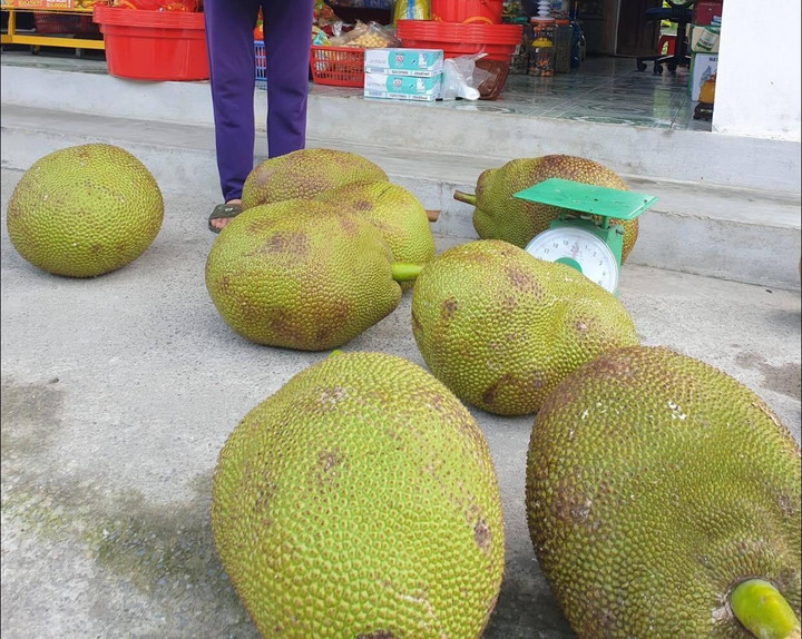 Con dâu hiếm muộn bị hàng xóm trách vì sờ cây mít, mẹ chồng liền dằn mặt cao tay - 2