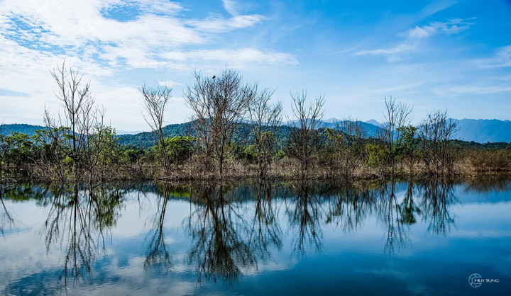 Vẻ nguyên sơ tại khu rừng Việt Nam đầu tiên tìm thấy ‘kỳ lân châu Á’ - sao la - 14