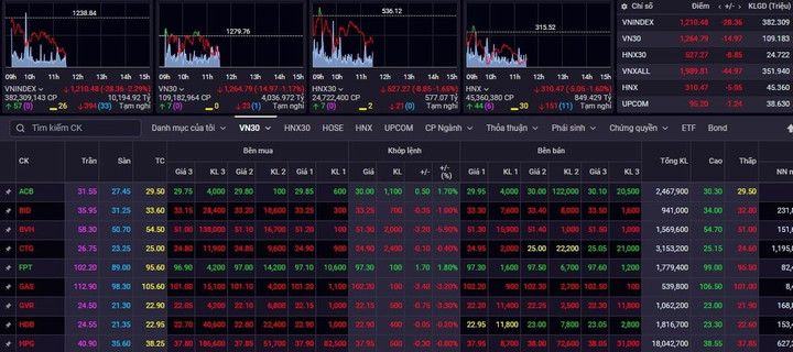 Chứng khoán chìm trong sắc đỏ, VN-Index 'bốc hơi' gần 60 điểm - 1