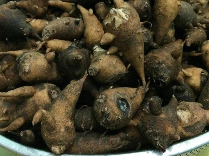 Món cháo 'độc dược', chỉ nên ăn vào buổi tối vang danh mọi miền của Hà Giang - 2