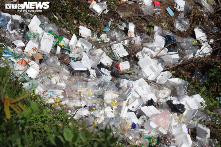 Thu gom hàng tấn rác giữa khu đô thị mới Thủ Thiêm - 4