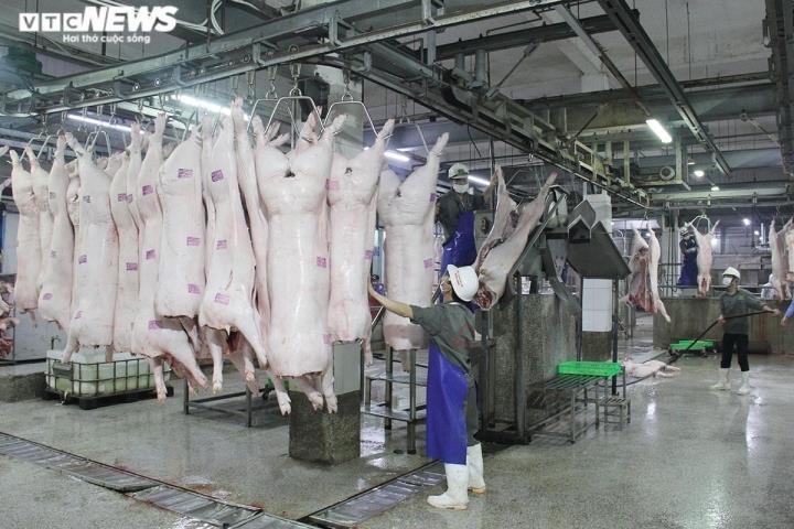 Giá heo hơi tăng mạnh, vượt mốc 60.000 đồng/kg - 1