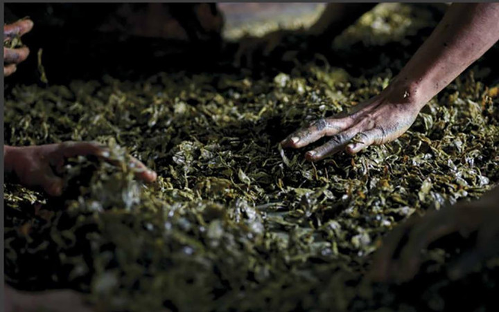 Hóa ra lá trà không chỉ để uống, mà còn được nấu thành món ăn độc lạ ở Myanmar - 2