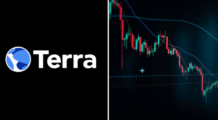 'Cái chết' của Luna đã được cảnh báo từ trước - 2