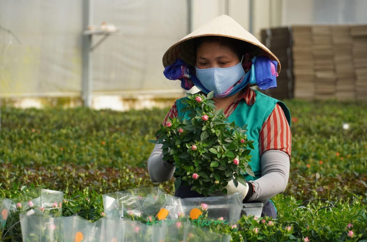 Những nông dân đặc biệt - 1