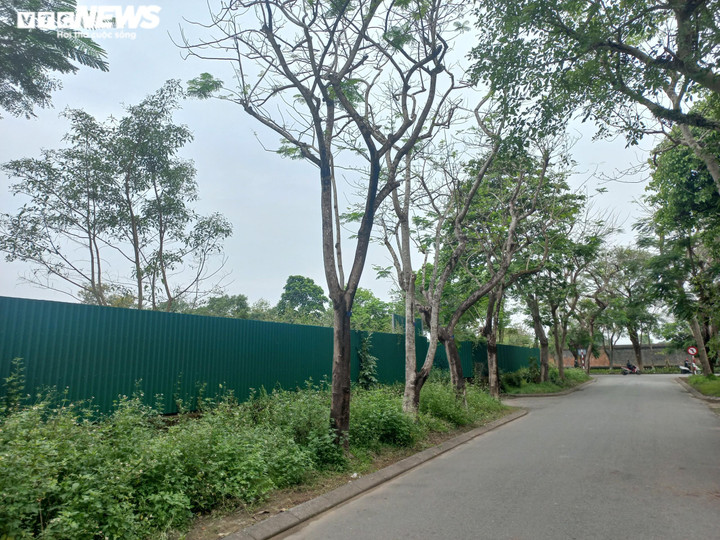 Cận cảnh những dự án nghỉ dưỡng trăm tỷ bỏ hoang ở Huế - 12