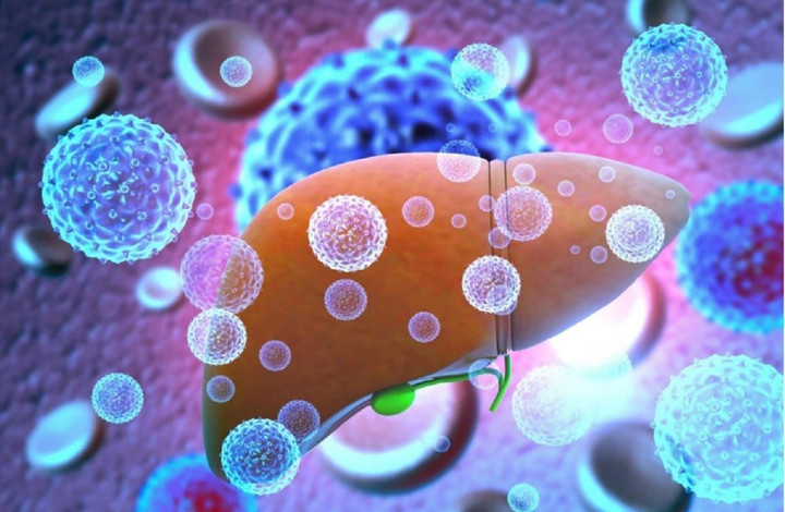 Virus Adeno - nghi phạm gây bệnh viêm gan bí ẩn được phát hiện gần 70 năm trước - 1