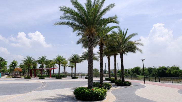 Aqua City: Không gian sống khơi nguồn cảm hứng - 6