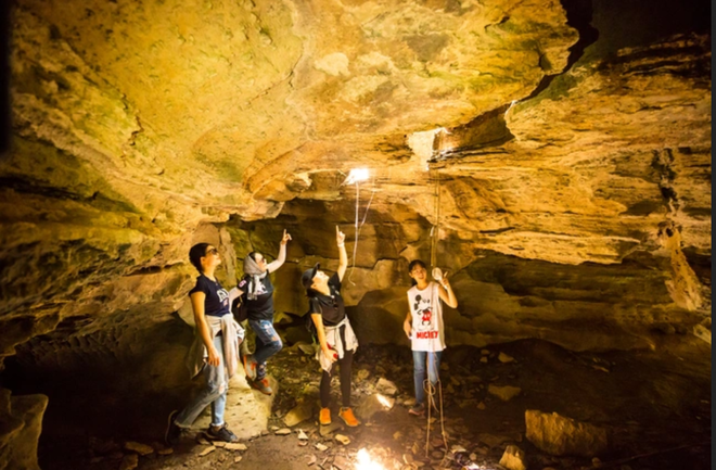 Lạc vào ‘kỷ Jura’ đậm chất phiêu lưu ở hang động Quảng Nam ít người đặt chân đến - 8