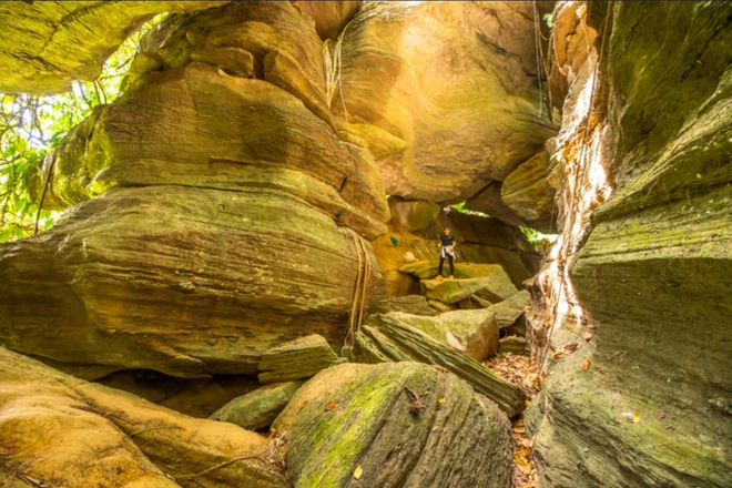 Lạc vào ‘kỷ Jura’ đậm chất phiêu lưu ở hang động Quảng Nam ít người đặt chân đến - 9