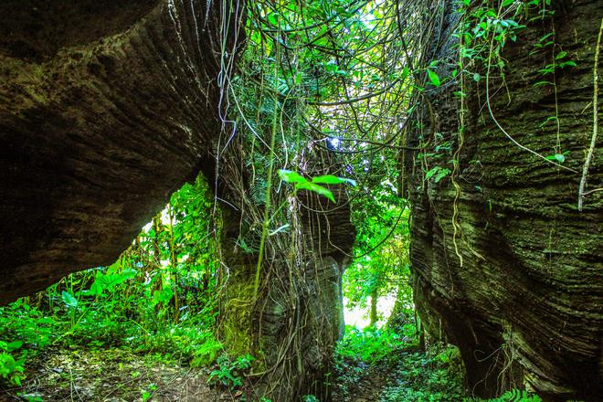 Lạc vào ‘kỷ Jura’ đậm chất phiêu lưu ở hang động Quảng Nam ít người đặt chân đến - 4