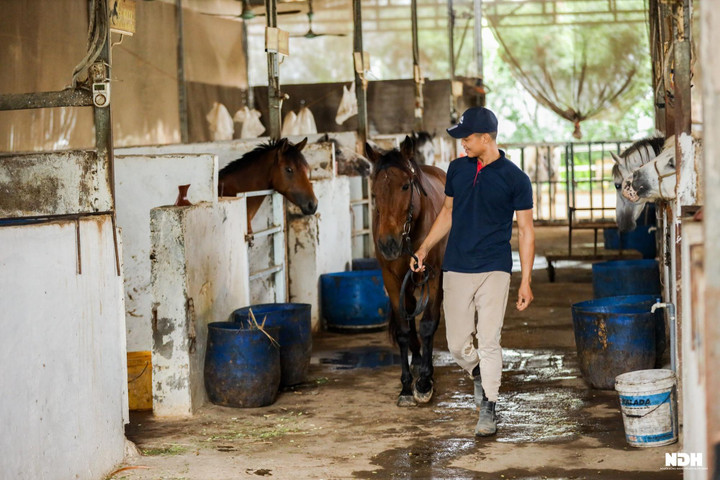 Người Hà Nội chi tiền triệu học cưỡi ngựa phong cách châu Âu - Ảnh 9. Người Hà Nội chi tiền triệu học cưỡi ngựa chuẩn phong cách châu Âu - 9