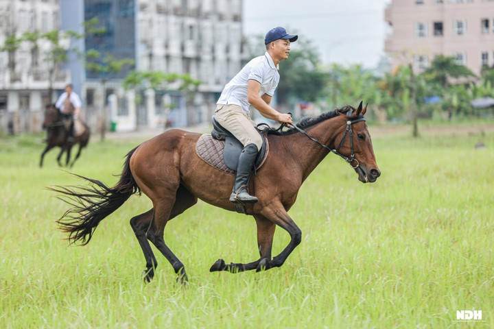 Người Hà Nội chi tiền triệu học cưỡi ngựa phong cách châu Âu - Ảnh 8. Người Hà Nội chi tiền triệu học cưỡi ngựa chuẩn phong cách châu Âu - 8