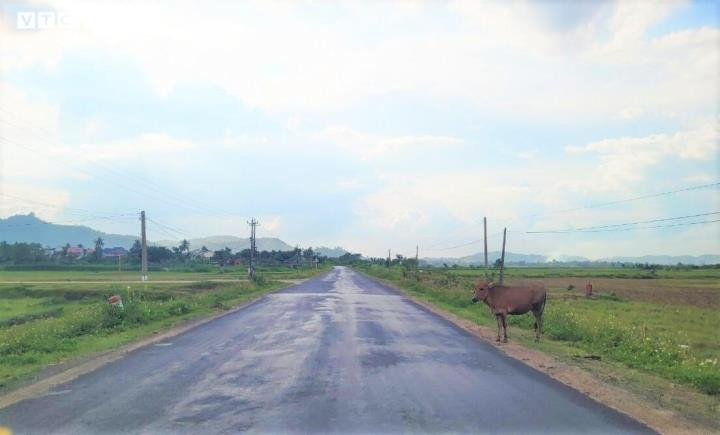 Đắk Lắk: Đội vốn hơn 2 lần, Tỉnh lộ 12 qua nhiều năm vẫn còn nham nhở - 1