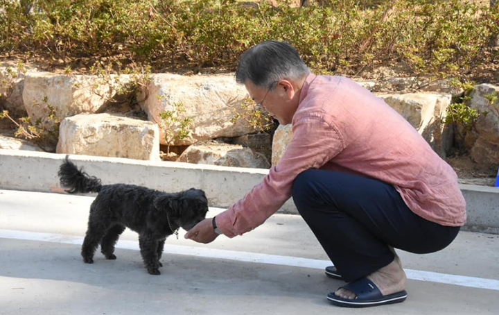 Ảnh: Cuộc sống giản dị tại quê nhà của cựu Tổng thống Hàn Quốc - 2