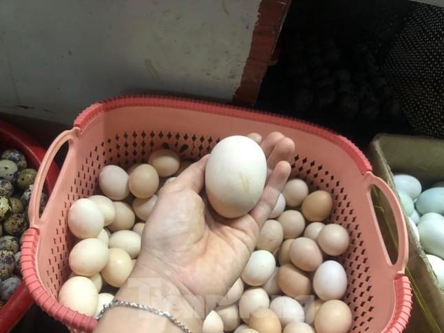 Trứng tăng giá cao gần gấp đôi - 3