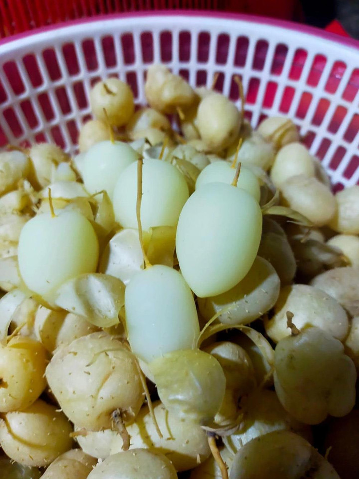 Loại củ giải nhiệt có cái tên lạ đời, được người Sài Gòn săn tìm vào mùa nóng - 6