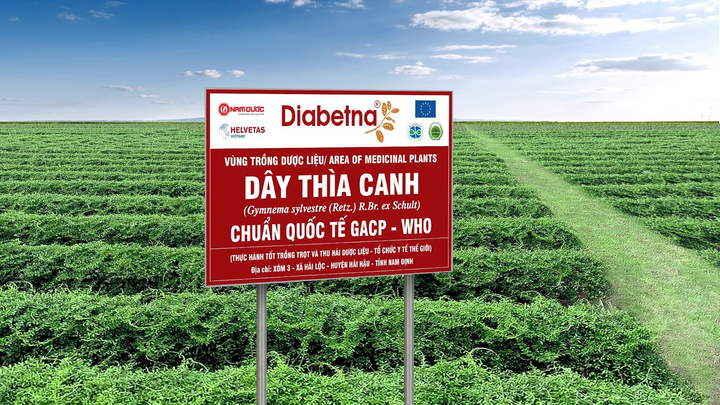 Hợp tác quốc tế: Ứng dụng khoa học công nghệ trong điều trị tiểu đường - 2