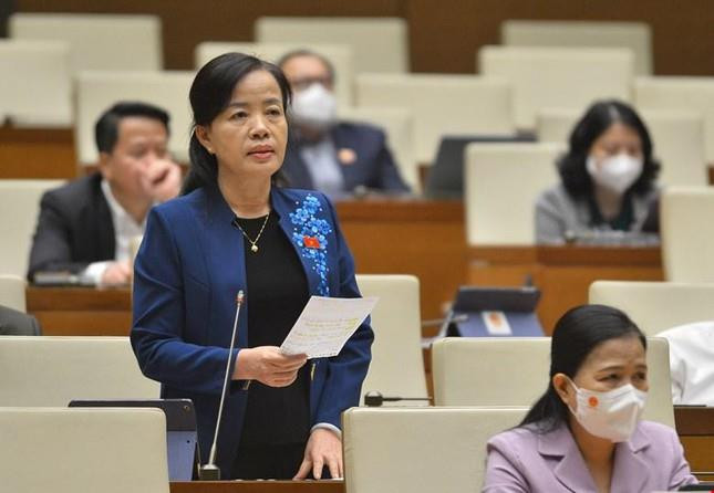 Phó Chủ nhiệm Ủy ban Xã hội: Liệu có những vụ Việt Á trong lựa chọn SGK? - 1