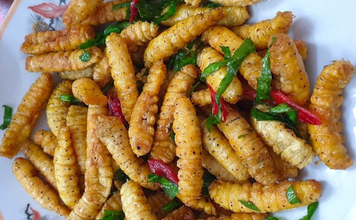 Nuôi loài đặc sản ghê rợn, ăn lãi gấp 10 lần chỉ chưa đầy 1 tháng - 3