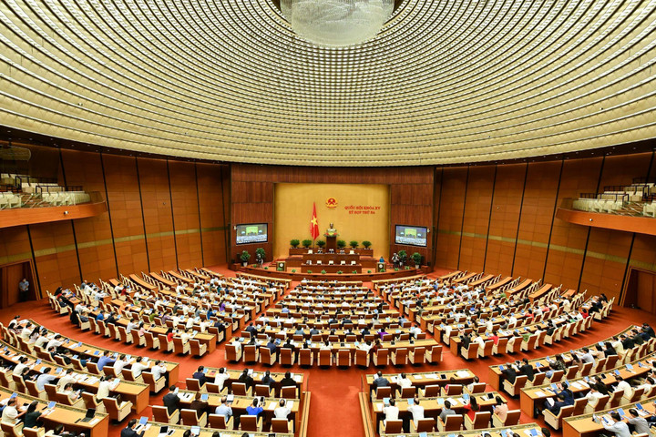 'Luật rừng' là có hại, nhưng một 'rừng luật' xung đột thiệt hại còn nhiều hơn - 2