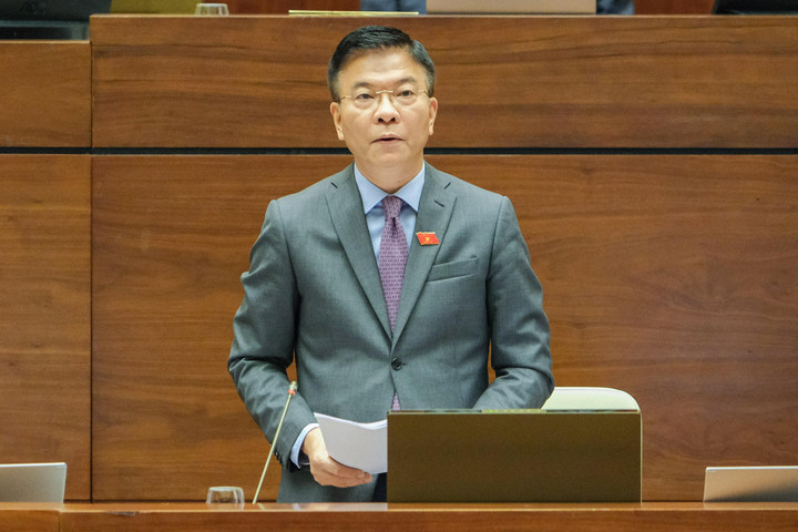 'Luật rừng' là có hại, nhưng một 'rừng luật' xung đột thiệt hại còn nhiều hơn - 4