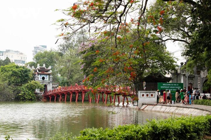 Ảnh: Vẻ đẹp phố Hà Nội trong mùa hoa phượng nở - 7