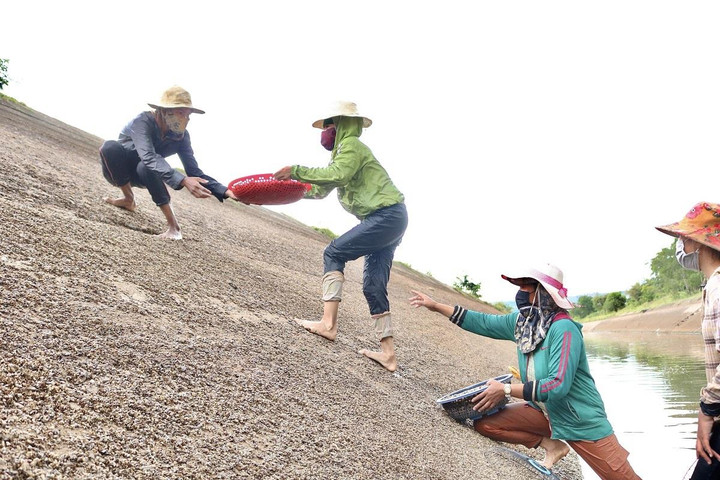 Ảnh: Dầm mình dưới nước mưu sinh bằng nghề mò ốc, cào hến - 11