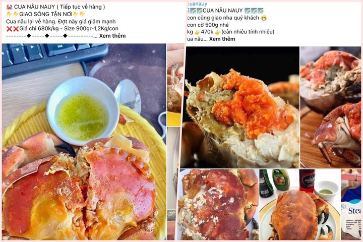 Cua 'siêu gạch' Châu Âu đổ bộ Việt Nam, giá rẻ hơn cua nội - 4