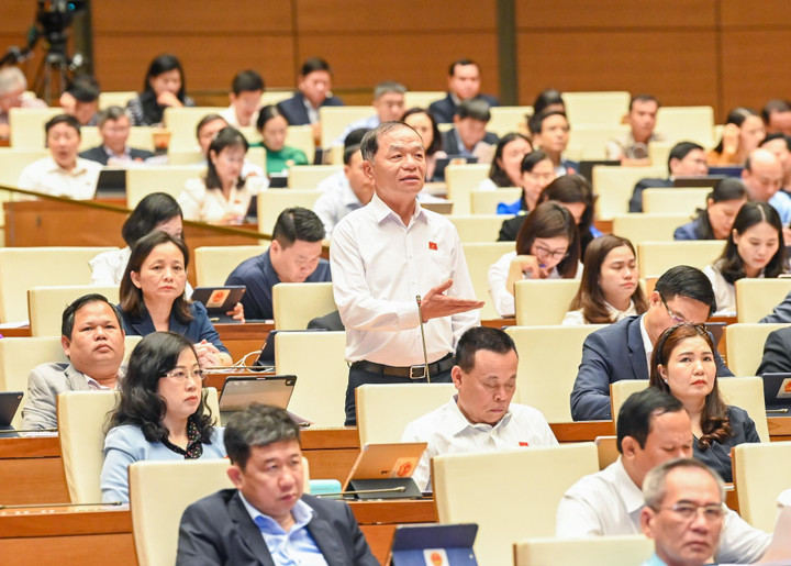 'Luật rừng' là có hại, nhưng một 'rừng luật' xung đột thiệt hại còn nhiều hơn - 3