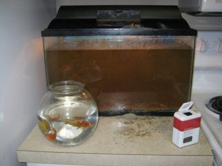 Hình ảnh cho thấy trông trẻ là việc 'rủi ro' nhất, lơ là 1 giây trả giá cực đắt - 11