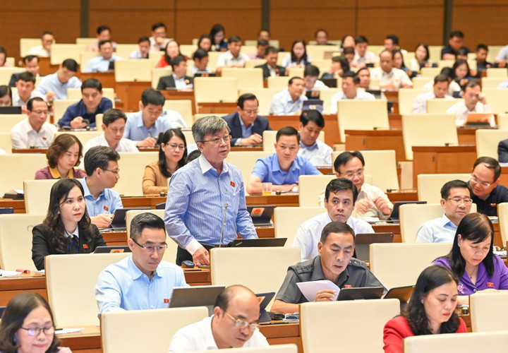 'Luật rừng' là có hại, nhưng một 'rừng luật' xung đột thiệt hại còn nhiều hơn - 1