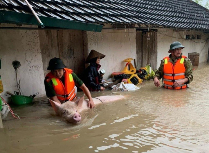 Nhiều tỉnh, thành miền Bắc ngập nặng, ô tô nổi lềnh bềnh giữa phố - 9