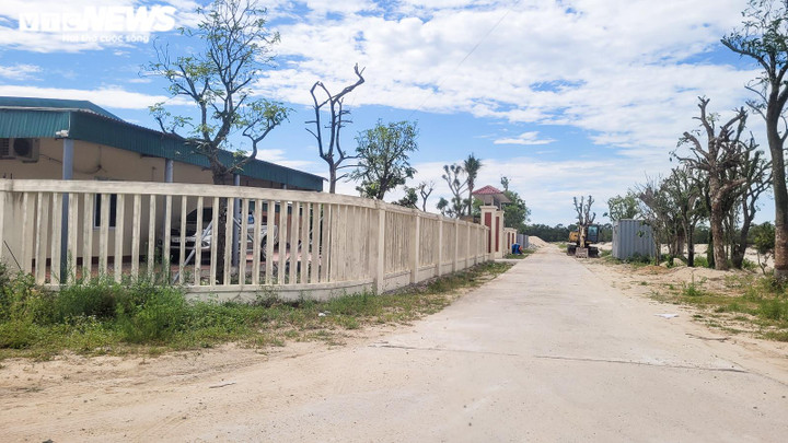 Nhiều sai phạm tại các dự án nuôi tôm công nghệ cao ở Hà Tĩnh - 2