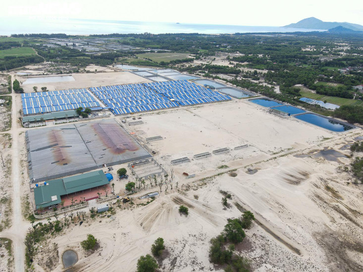 Nhiều sai phạm tại các dự án nuôi tôm công nghệ cao ở Hà Tĩnh - 1