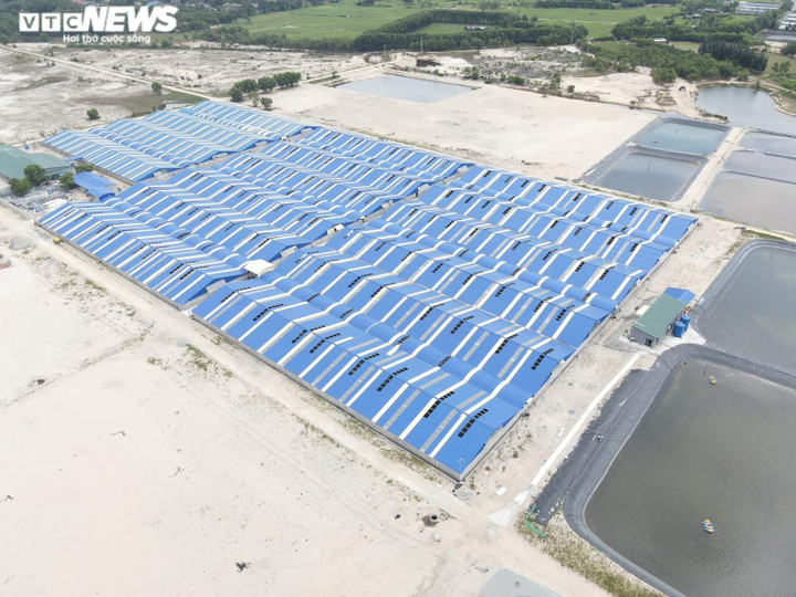 Nhiều sai phạm tại các dự án nuôi tôm công nghệ cao ở Hà Tĩnh - 8