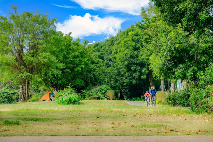 Trẻ con Ecopark có tuổi thơ của 'thời ông bà, cha mẹ' - 2