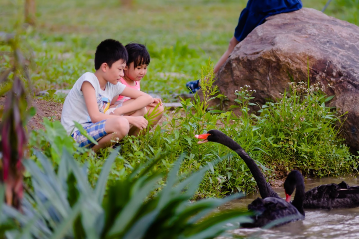 Trẻ con Ecopark có tuổi thơ của 'thời ông bà, cha mẹ' - 8
