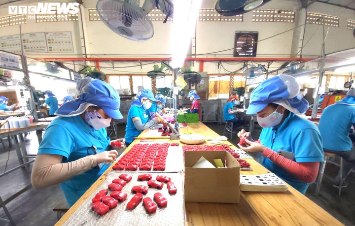 Doanh nghiệp, người dân gặp khó do dịch COVID-19, HĐND Đà Nẵng chỉ đạo nóng - 1