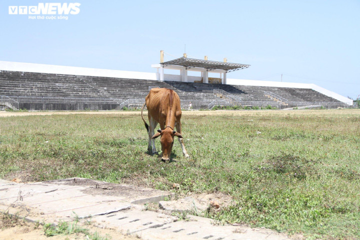 Ảnh: Những dự án cả thập kỷ bỏ hoang thành nơi chăn trâu, bò ở Huế và Quảng Trị - 11