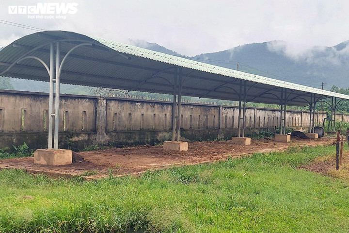 Ảnh: Những dự án cả thập kỷ bỏ hoang thành nơi chăn trâu, bò ở Huế và Quảng Trị - 7